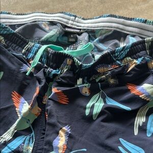 Patagonia 5” Baggie Short